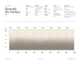 Beneath the Surface Silt