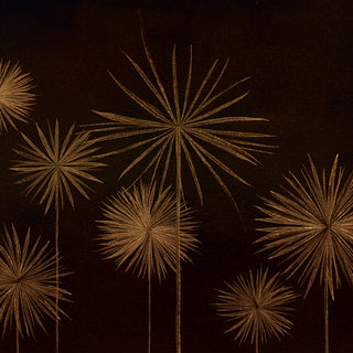 LeÃÂÃÂ³n Negro