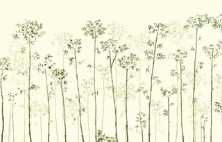 Bambou Beige