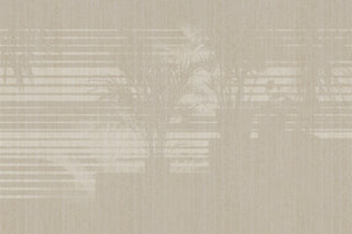 Morning Light Green by Glamora, wallpaper mural