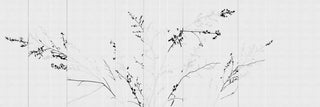 Pause Black & White by Glamora, wallpaper mural