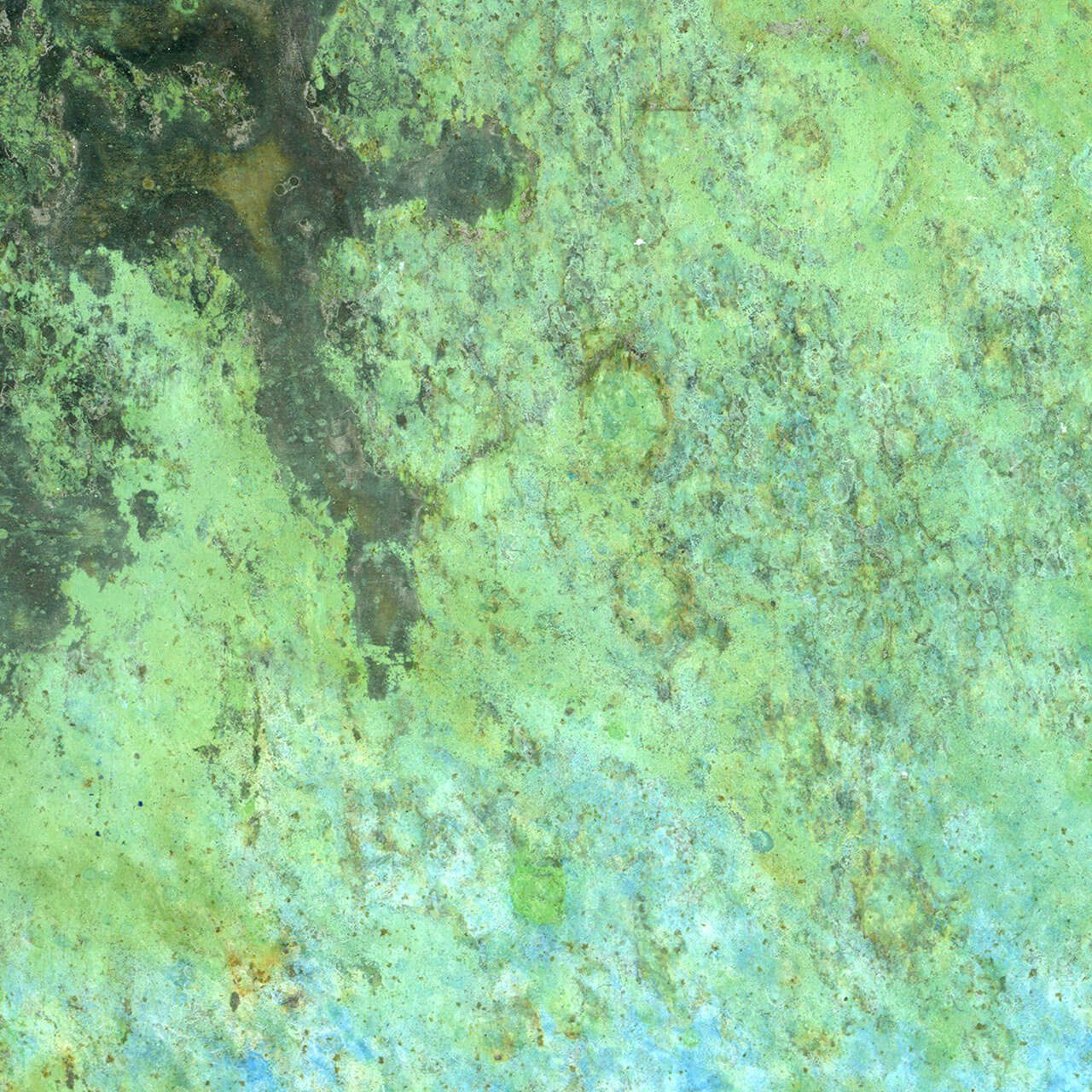 Patina Study 5 by Wallpaper Projects, wallpaper mural