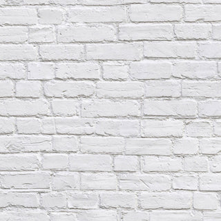 Raw Surfaces - Bricks Whitewashed