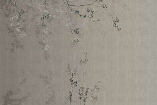 Silhouette