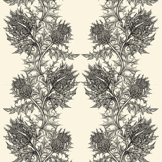 Thistle Superwide Black On Ivory