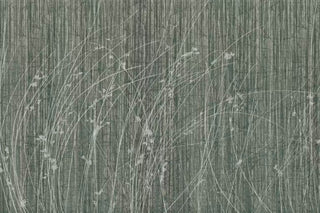 Sideritis Green by Glamora, wallpaper mural