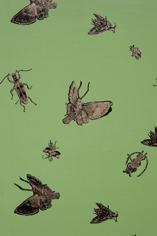 Insect - Hand Printed Gold & Black on Kingsburgh