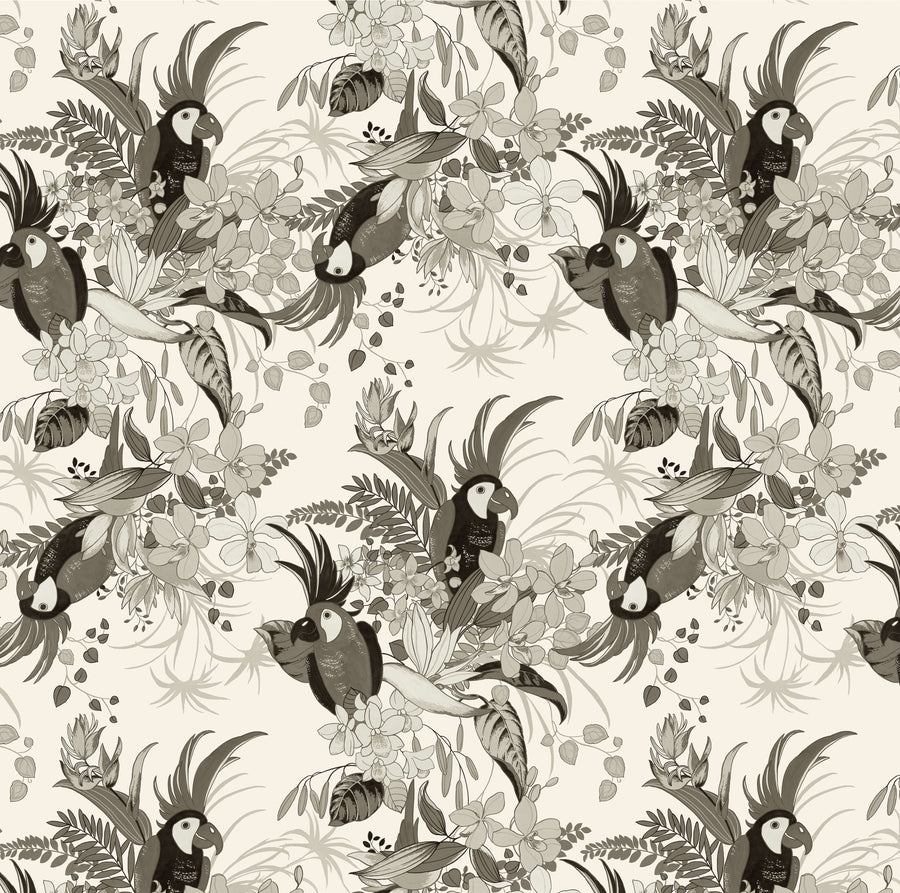 The Perfect Parrot Polly Noir - product image