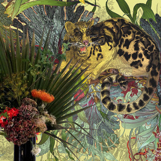 Tropical Clouded Leopard Lime