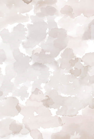 Color Field Taupe