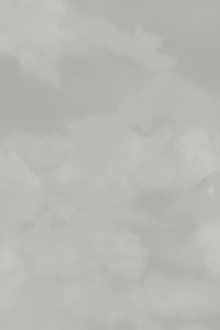 Dispersion Mist