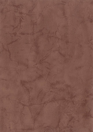 Zenith II Plaster 02