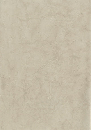 Zenith II Plaster 06