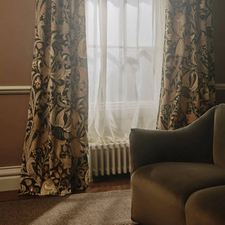 Golden Lily Velvet Magna Black