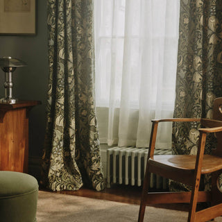 Golden Lily Velvet Verde