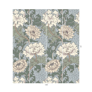 Chrysanthemum Magna Byzantine