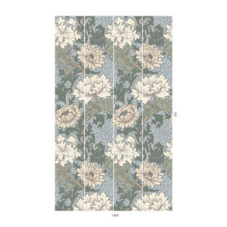 Chrysanthemum Magna Byzantine