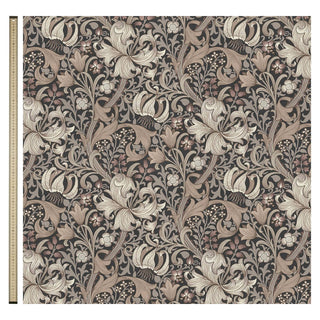 Golden Lily Velvet Black