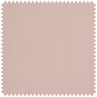 Heavenly Hemp Astrantia