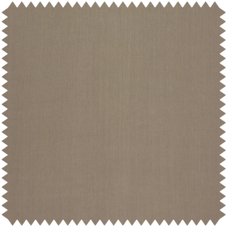 Heavenly Hemp Funghi