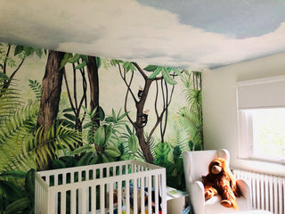 Paysages Casa de Vidro Lever du Soleil