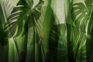 Equatorial Jungle GLRO101