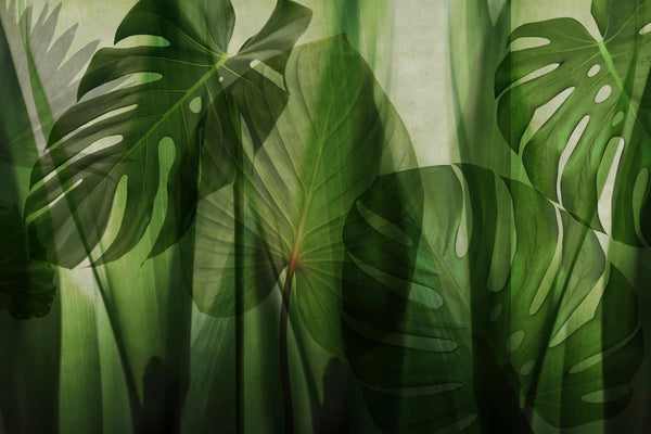 Equatorial Jungle Green by Glamora, wallpaper mural