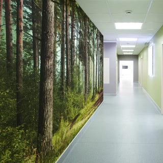Healthcare Forest