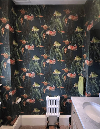 Banque de poissons marine