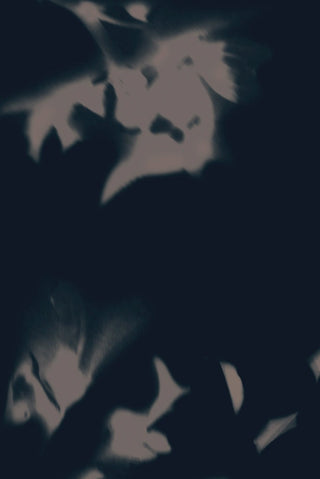 Drift Shadow