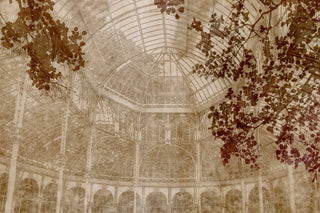 Jardin Des Plantes GLAR222