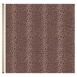 Savanna Velvet Cosmos