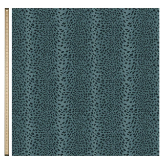 Savanna Velvet Lobelia