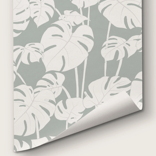 Mighty Monstera Misted by Abnormals Anonymous, wallpaper