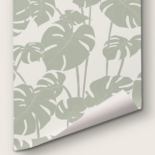 Mighty Monstera Verdant by Abnormals Anonymous, wallpaper