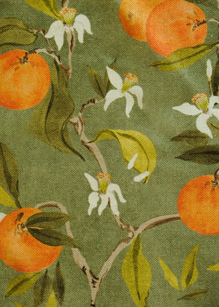 Naranjos Linen Celadon