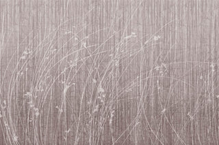Sideritis Pink by Glamora, wallpaper mural