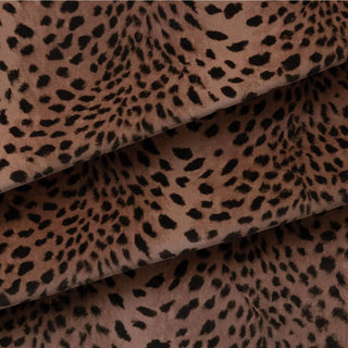 Savanna Velvet Cosmos