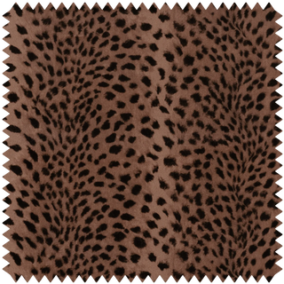 Savanna Velvet Cosmos