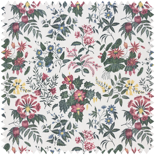 Loddiges Cotton Linen Achillea by House of Hackney, fabric