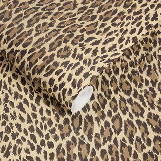 Wild Card Butterscotch