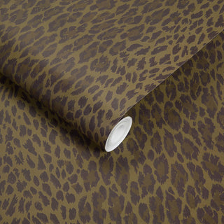 Wild Card Laurustine