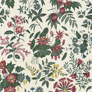 Loddiges Achillea by House of Hackney, wallpaper