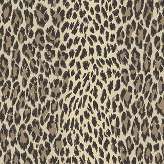 Wild Card Butterscotch