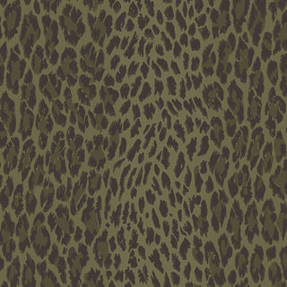 Wild Card Laurustine