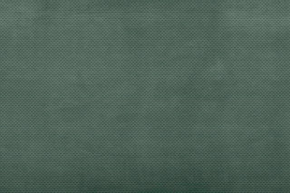 Verdant Veil GLXV421C