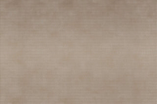 Zierlinie Light Brown C by Glamora, wallpaper mural